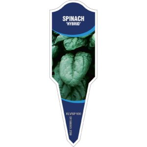 SPINACH Hybrid