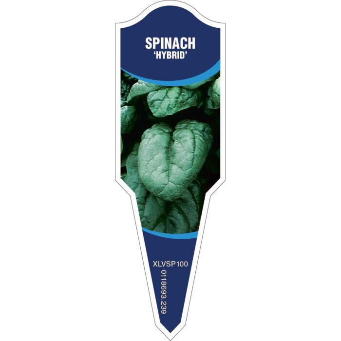 Label_XLVSP100.Jpg