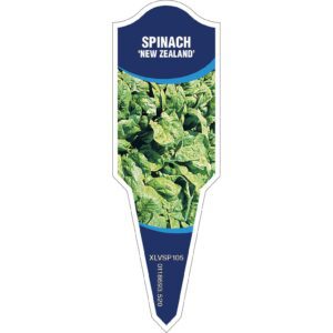 SPINACH New Zealand