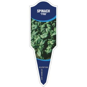 SPINACH Tyee