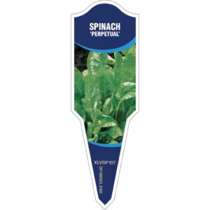 SPINACH Perpetual