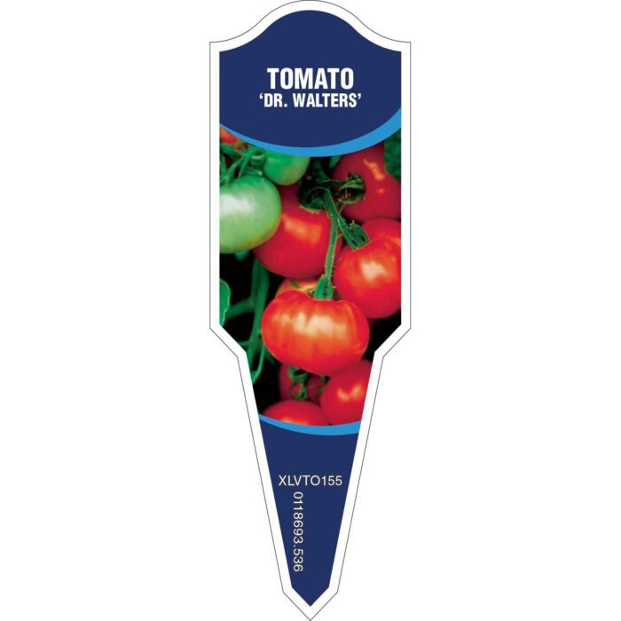 Label_XLVTO155.Jpg