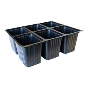 Retail Punnets - 6 Cell