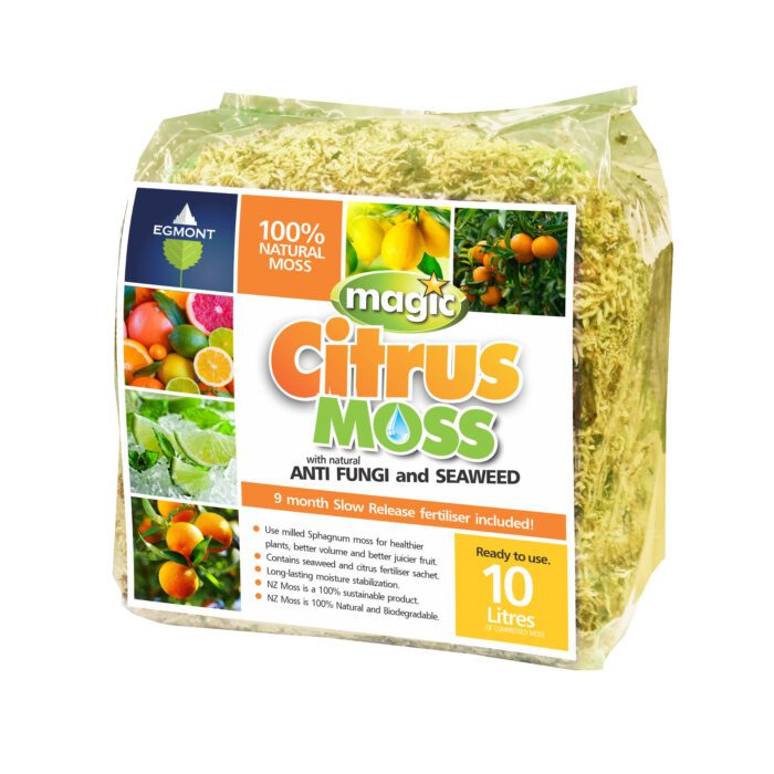 citrus moss