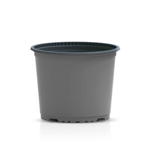 TEKU Round 19cm (VCL19)