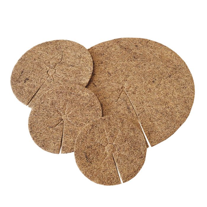 round coir mts 2026